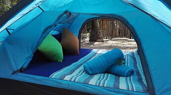 Tropical Eco Camping