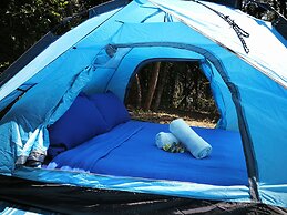 Tropical Eco Camping