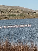 Surf Egitim Merkezi Oteli