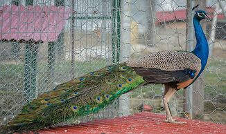 Lotos Mountain Resort