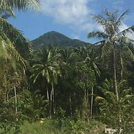 Wonderland Healing Center