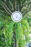 Early Bird Hostel Ayutthaya