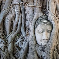 Early Bird Hostel Ayutthaya