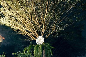 Early Bird Hostel Ayutthaya