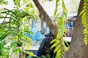 Early Bird Hostel Ayutthaya