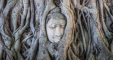 Early Bird Hostel Ayutthaya