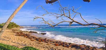 Mirissa Beach Villa