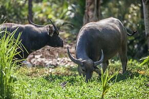 Fisherman Way Beach Villa