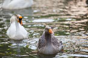 Fisherman Way Beach Villa