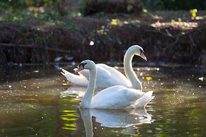 Fisherman Way Beach Villa