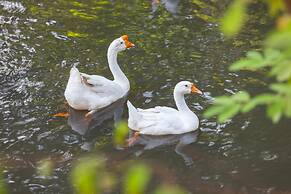 Fisherman Way Beach Villa