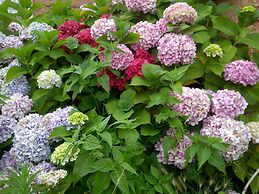 Hotel La Casa del Abuelo