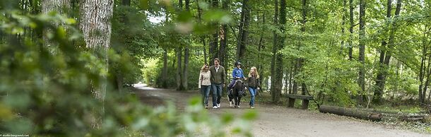 Center Parcs Les Bois-Francs