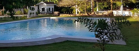 Kiwi's Hidden Resort