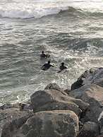 Haven Waters Motel & Apartments