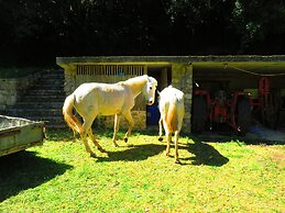 Quinta de Rio Alcaide