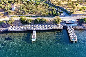 Assos Dionysos Hotel Special Class - Adults Only