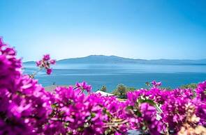 Assos Dionysos Hotel Special Class - Adults Only