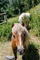 Chalet La Perle d'Oisans
