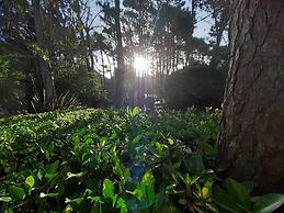Miradores del Bosque