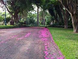 Cuckoo's Nest Guest House