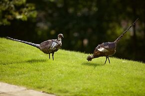 Glede Knowe Guest House