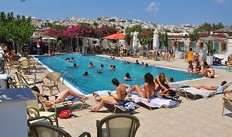 Santorini Camping Rooms