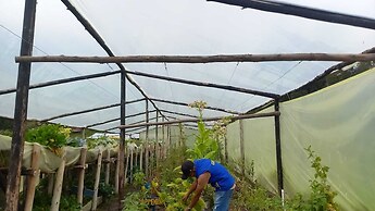 Hotel Rural La Esperanza