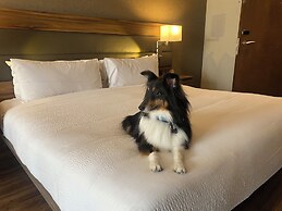 AC Hotel by Marriott Santa Fe