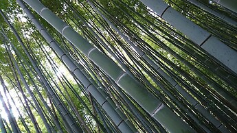 R&Run Kyoto serviced apartment & suites