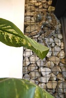 R&Run Kyoto serviced apartment & suites