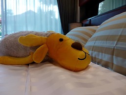 The Heaven at Star Hill Condo