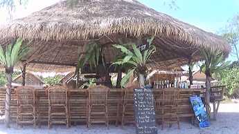 Tree Bar Hostel