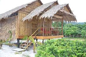 Tree Bar Hostel