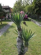 Villa Rosy B&B