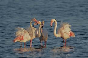 Casolare nelle Saline