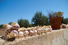 Casolare nelle Saline