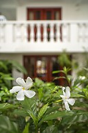 La Paloma Blanca by Lost Beach