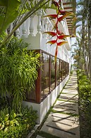 La Paloma Blanca by Lost Beach