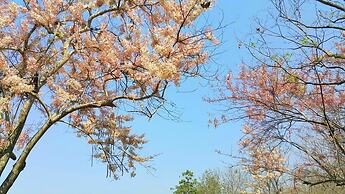 The Royal Chiangmai Golf Resort