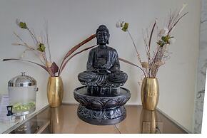 Bhagini Icon Premier