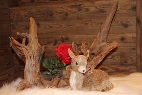 Hotel Alpina Ros Demming