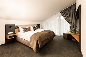 Hotel Alpina Ros Demming