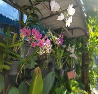 BeautyLand Hotel Bo Cho