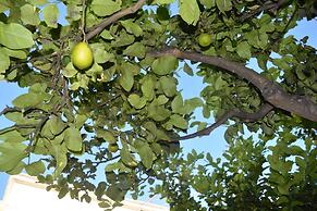 B&B Il Piccolo Principe