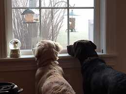 Crystal Run Suites of Springboro