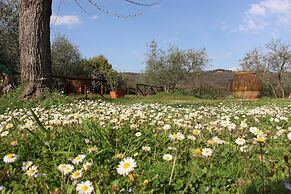 Agriturismo Casavecchia