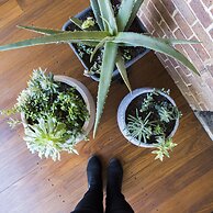 The Parkview Hotel Mudgee