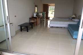 Milford Paradise - No.200