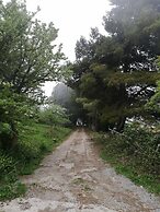 Agriturismo Bosco Pianetti